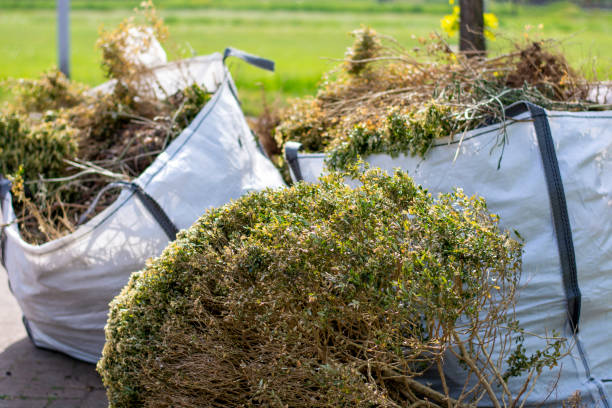 Best Local Junk Hauling  in Lock Haven, PA